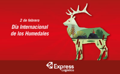 2 DE FEBRERO – DÍA INTERNACIONAL DE LOS HUMEDALES